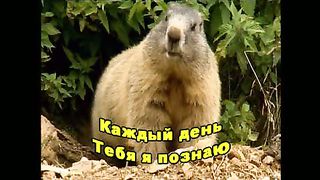 Люблю Тебя (караоке)