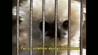 Опускаясь на колени (караоке)