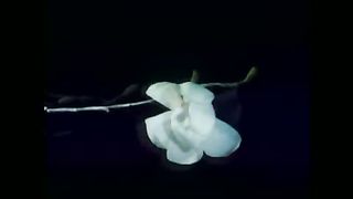 Видеоклип Отче наш