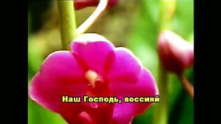 Восклицают небеса