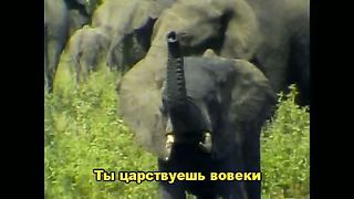 Вся земля хвалу поёт  караоке