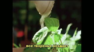 Вся земля хвалу поёт  караоке