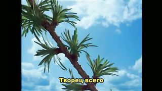 Вся земля хвалу поёт  караоке