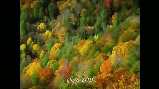 Небеса проповедуют