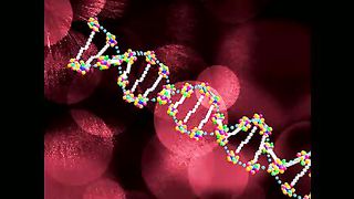 Слово - жизнь