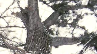 Геннадий Мохненко - Портрет причесанного Бога