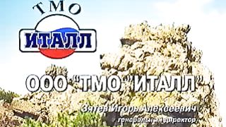 Влияние мата на ДНК жизнь и все вокруг