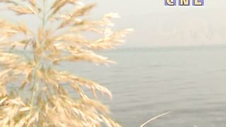 Ростислав Радчук - Как было так и будет