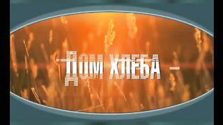 Александр Шевченко - Снова о важности видения