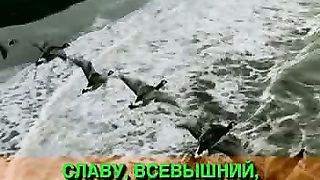 Господь Бог и сила и крепость фонограмма