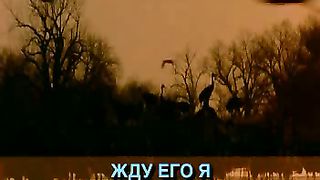 День святой подходит к концу караоке