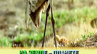 Доброта Горы море и холмы караоке