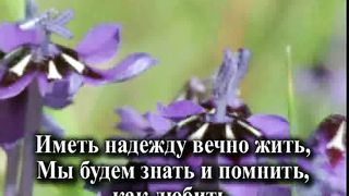 Любовь Христа Караоке