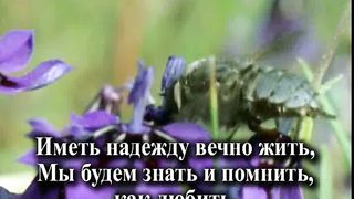 Любовь Христа Караоке