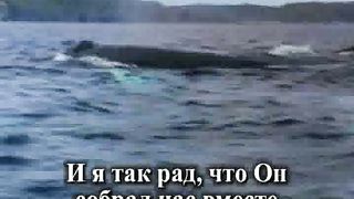 Мы Семья Караоке