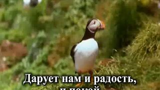 Мы Семья Караоке