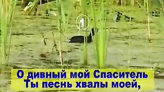 О дивный мой Спаситель караоке