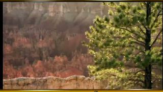 Преклонись Караоке