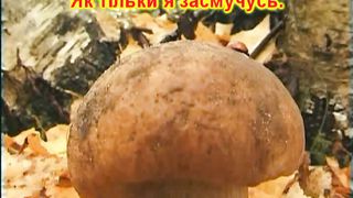 Ти мій притулок караоке