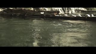 Цирк Бабочек (2009)