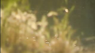 Христианские притчи - Атеист