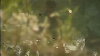 Христианские притчи - Крест