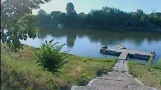 Христианские притчи - Пчела и муха