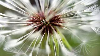 Все во мне - Твое Караоке