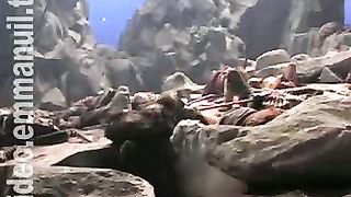 Клуб 700 live 31