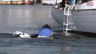 Сэйв-Харбор (2009)