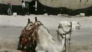 Мир Библии 1 - География климат и сельское хозяйство Палестины