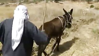 Мир Библии 1 - География климат и сельское хозяйство Палестины