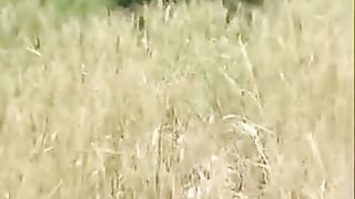 Мир Библии 2 - От Авраама до Иисуса Навина