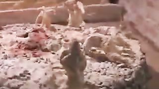 Мир Библии 4 - От Езекии до Ирода