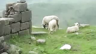 Мир Библии 6 - Ранняя церковь