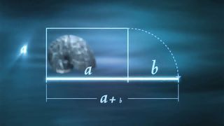 Природа в числах (2010)