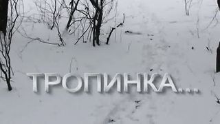 Тропинка (2010)