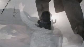 Тропинка (2010)