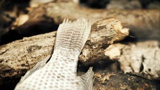 Пасхальные переживания 2