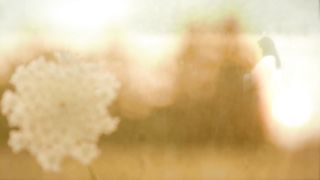 Пасхальные переживания 4