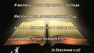 Кофе-пауза 4