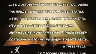 Кофе-пауза программа 13