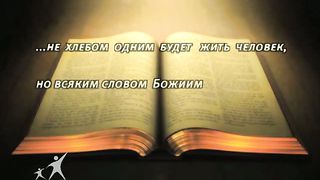 Кофе-пауза программа 16