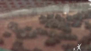 Кофе-пауза программа 36