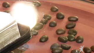 Кофе-пауза программа 42