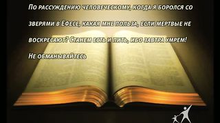 Кофе-пауза программа 59