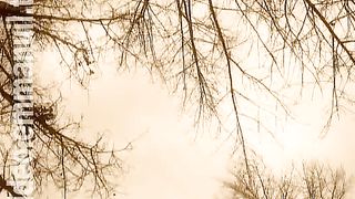 Клуб 700 live 25