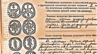 Выбирай 10 Жизнь на камне